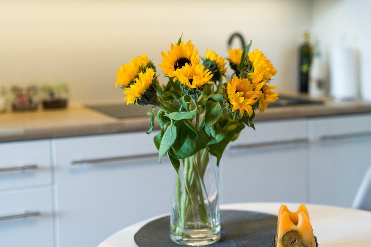 Sunflower Apartment 크라쿠프 외부 사진